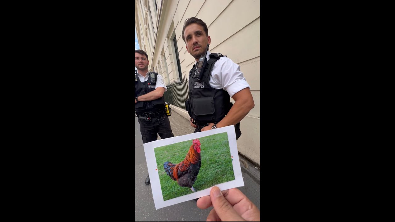Do you want to see a picture of my COCK ??? PRANK !!!