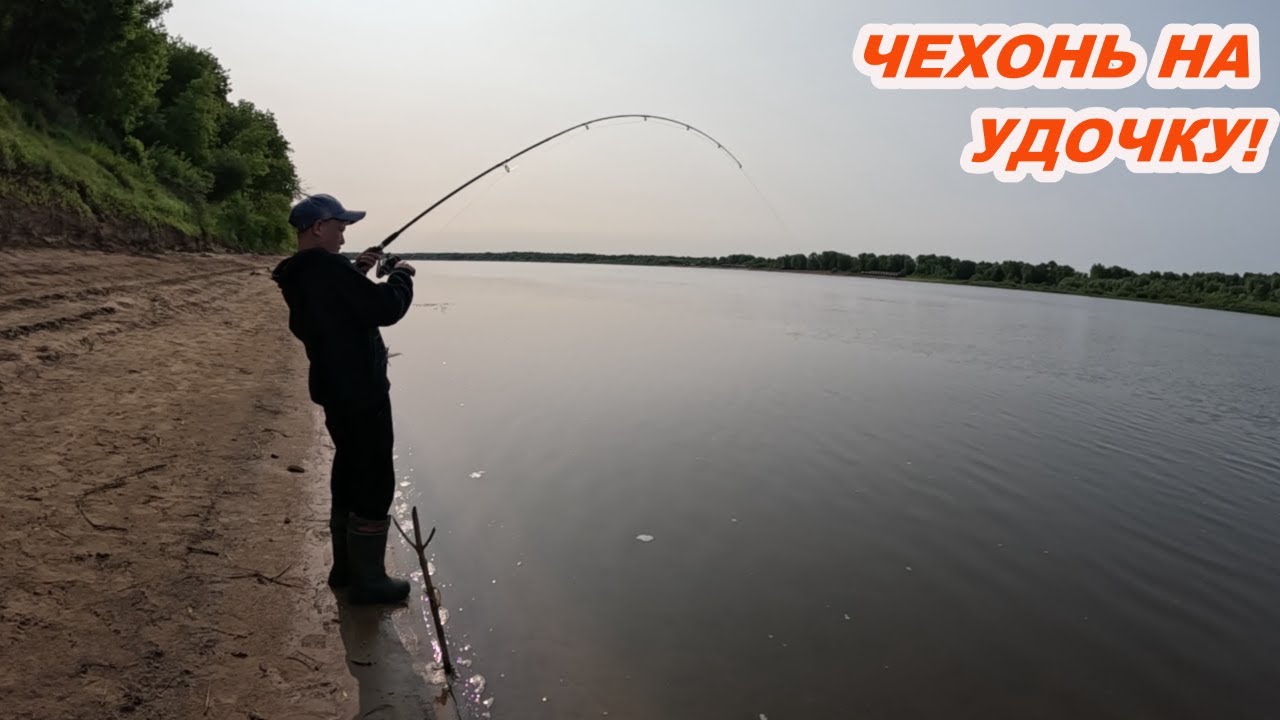 ЧЕХОНЬ НА УДОЧКУ! Как её ловить и снасть для дальнего заброса!
