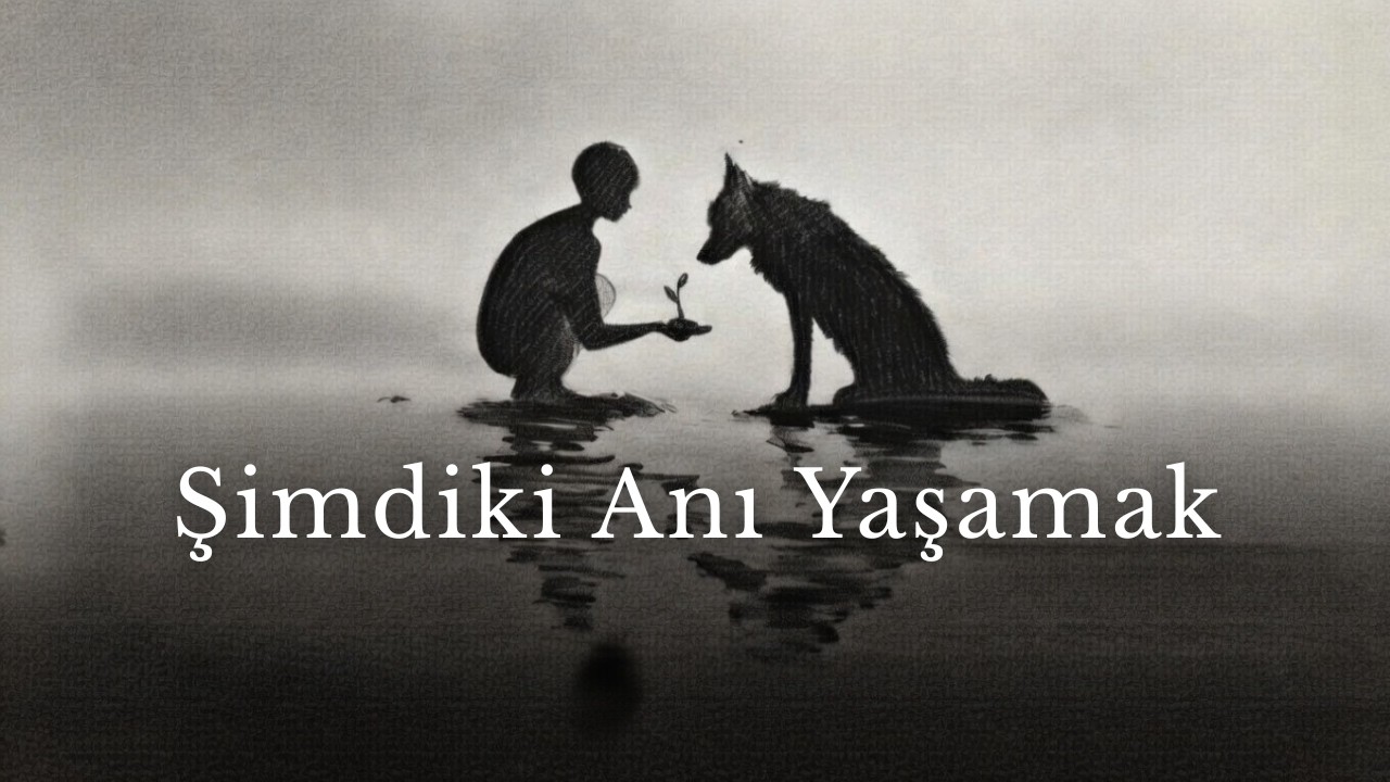 Pişmanlık ve Kaygıdan Kurtulmanın Yolu: Anı Yaşamak I Stoacı Bakış