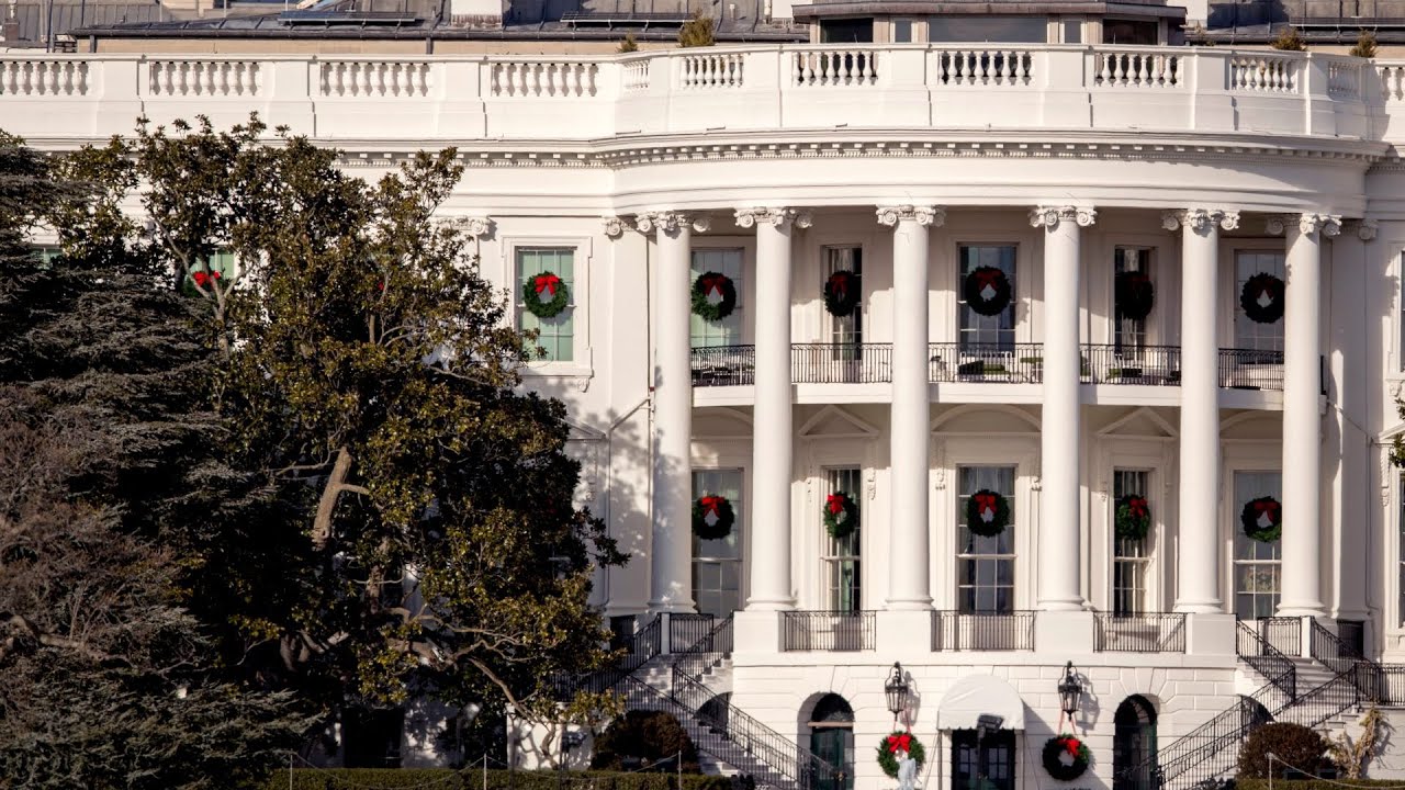 The iconic White House magnolia tree, a history