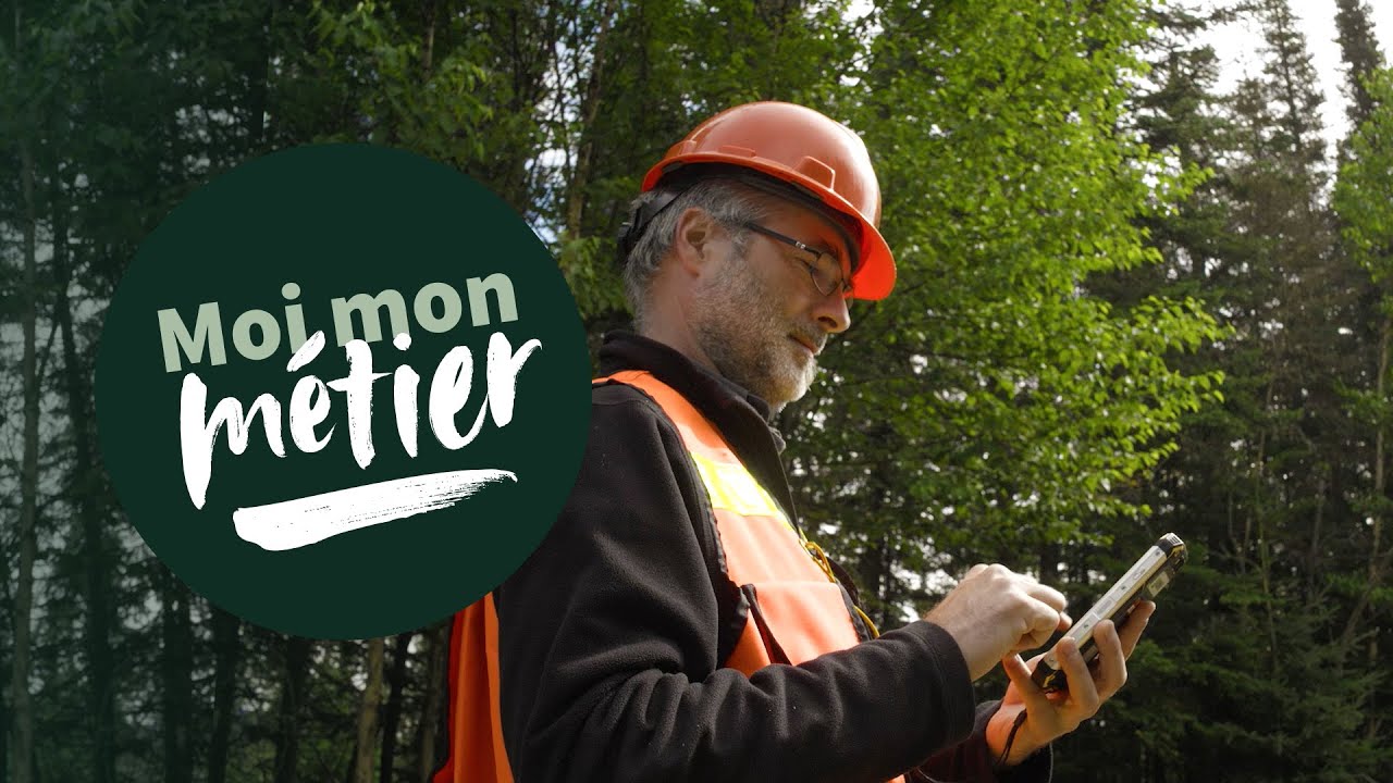 Ingénieur forestier | Moi mon métier