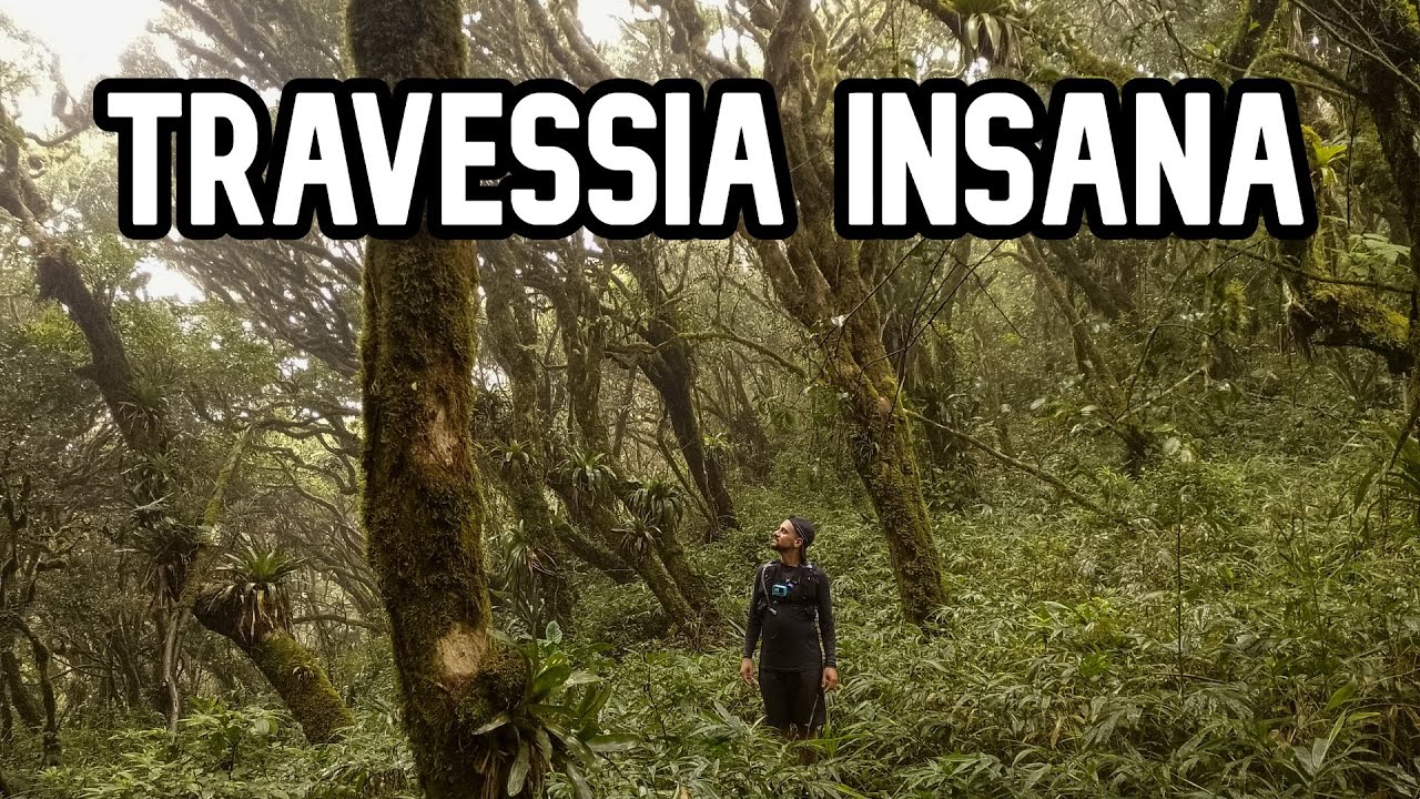 VEM CORRER 25KM na MONTANHA COMIGO / Travessia dos Capivaris #trailrun