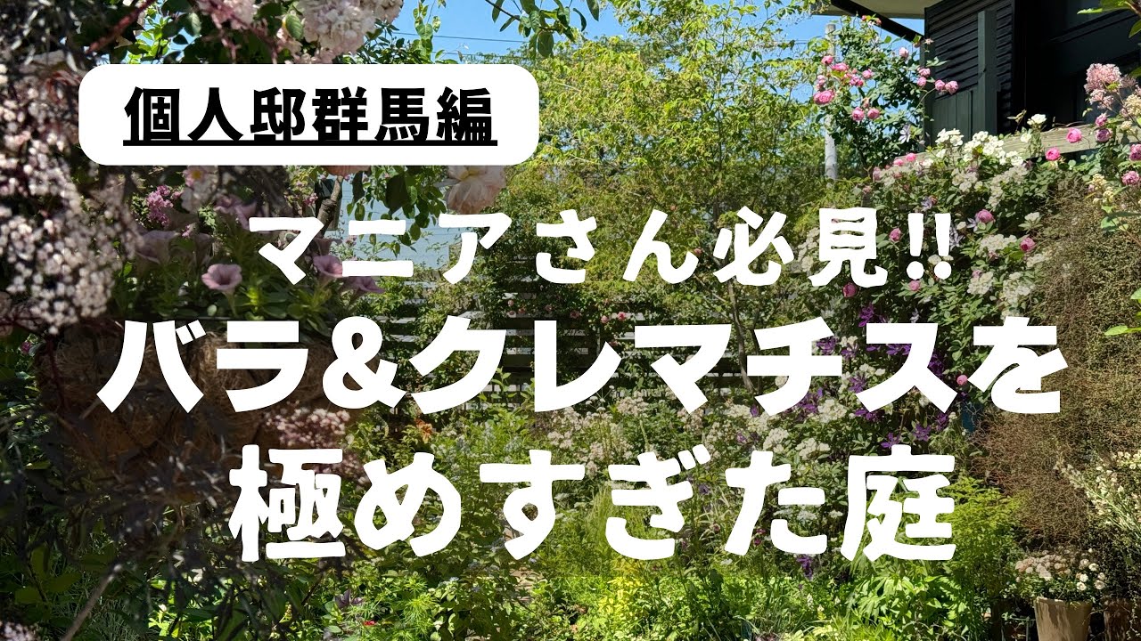 バラ&クレマチスを極めすぎた庭［個人邸 群馬編］