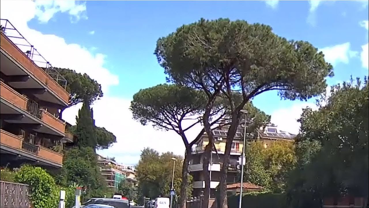 Girando per Roma. Da via Trionfale, via Cortina D'Ampezzo, Cassia e Piazza Giuochi Delfici.
