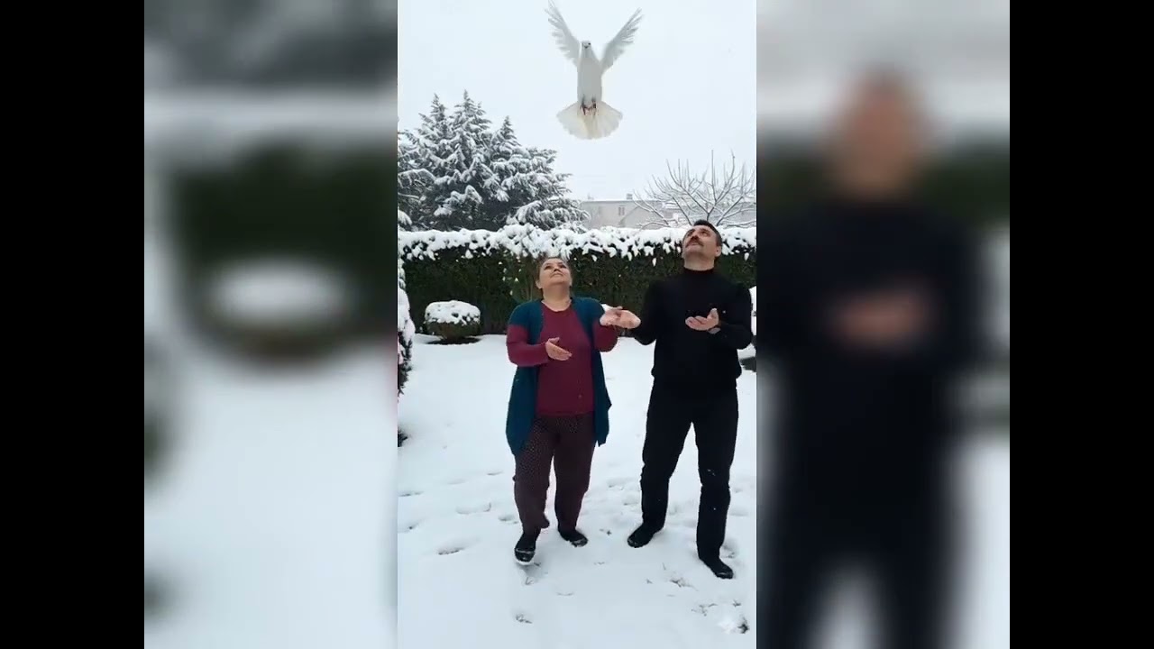 Bayron celemi Arada kaldım 