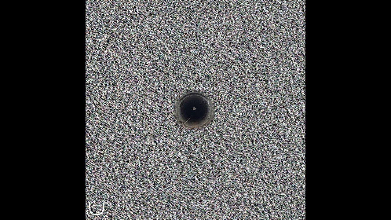 I think I'm gonna call you Long Neck