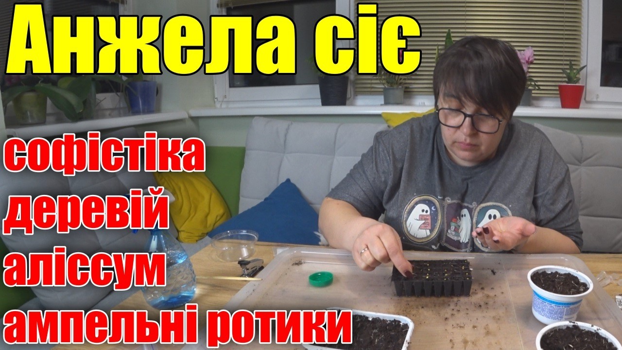 Сіємо Квіти. Петунія Софістика, Ампельні ротики, Деревій, Аліссум.