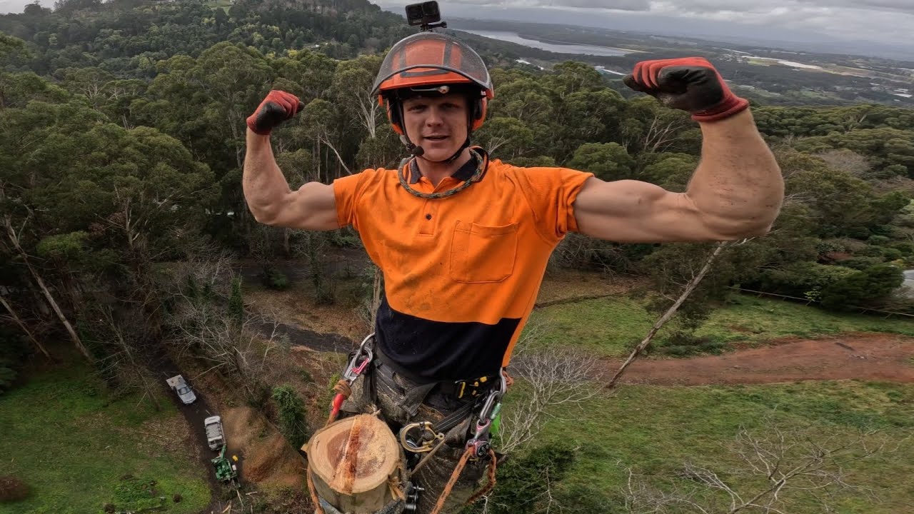 Treework makes you Ripped!