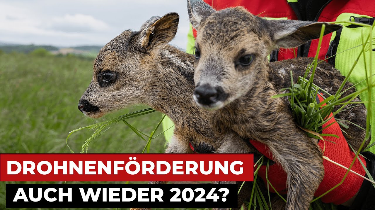 Warum es 2024 wieder eine Drohnenförderung geben wird! (Drohnenförderung für Kitzrettung)