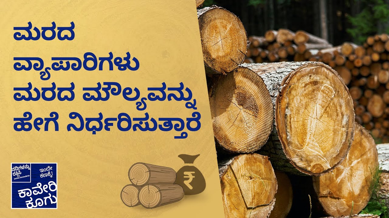 ಮರದ ವ್ಯಾಪಾರಿಗಳು ಮರದ ಮೌಲ್ಯವನ್ನು ಹೇಗೆ  ನಿರ್ಧರಿಸುತ್ತಾರೆ