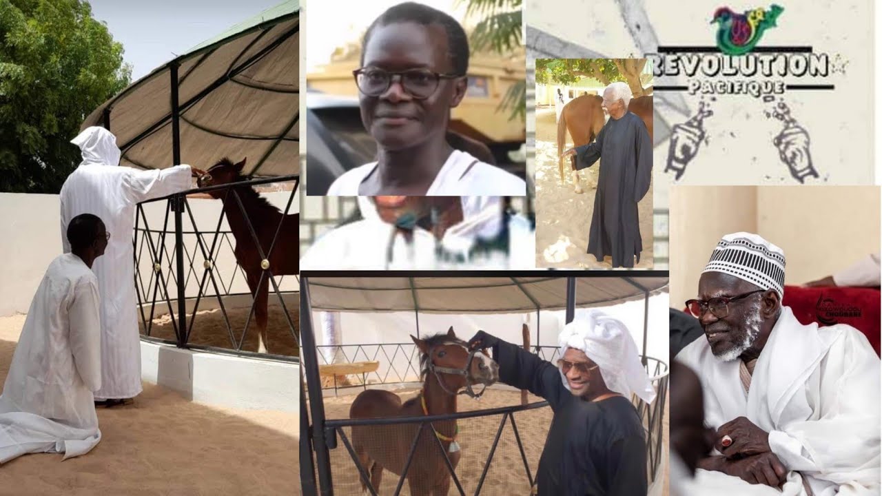 Écoutez les explications extraordinaires sur le cheval de Cheikh Ahmadou Kara Mbacké par misbakh...