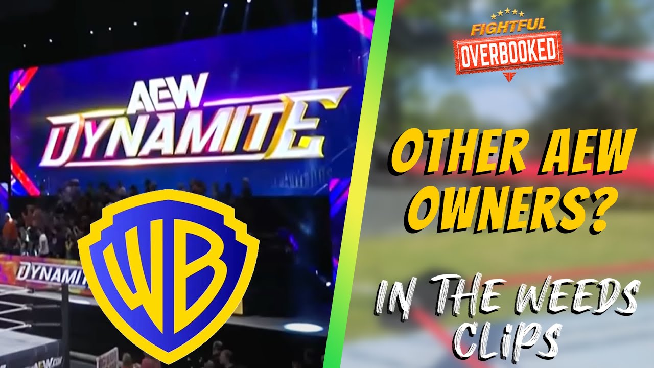 Does Warner Bros Own Part Of AEW?