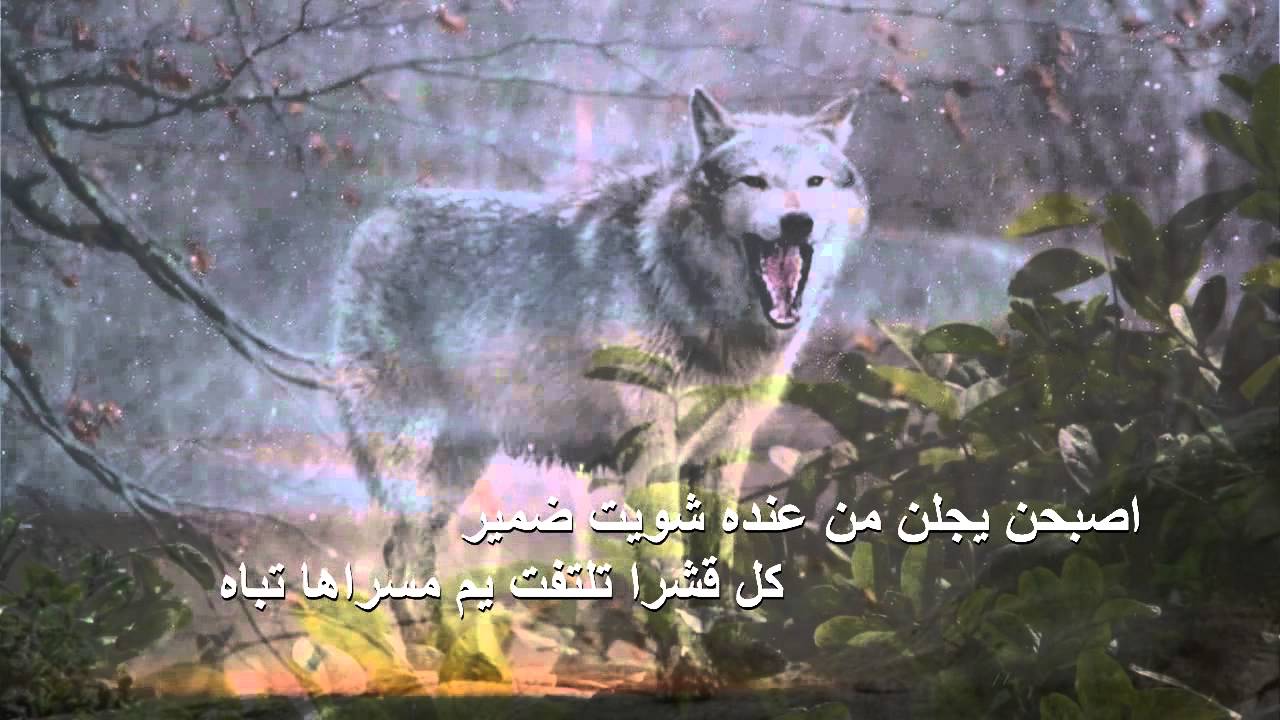 اشهد انه غير كلمات الشاعر سعد حصيبان الشيباني اداء محمد نور