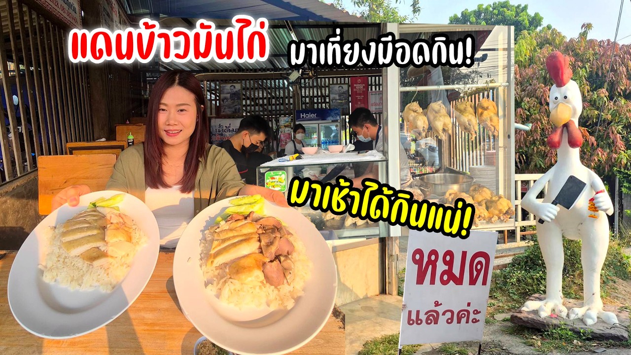 แดนข้าวมันไก่ร้านดัง! ระดับมิชลินขายดี! ครึ่งวันหมด! อร่อยแสงออกปาก เปิดนาน 20 ปี