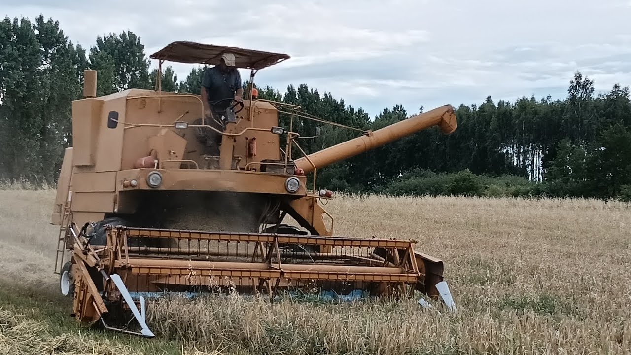 Żniwa 2025 2/3