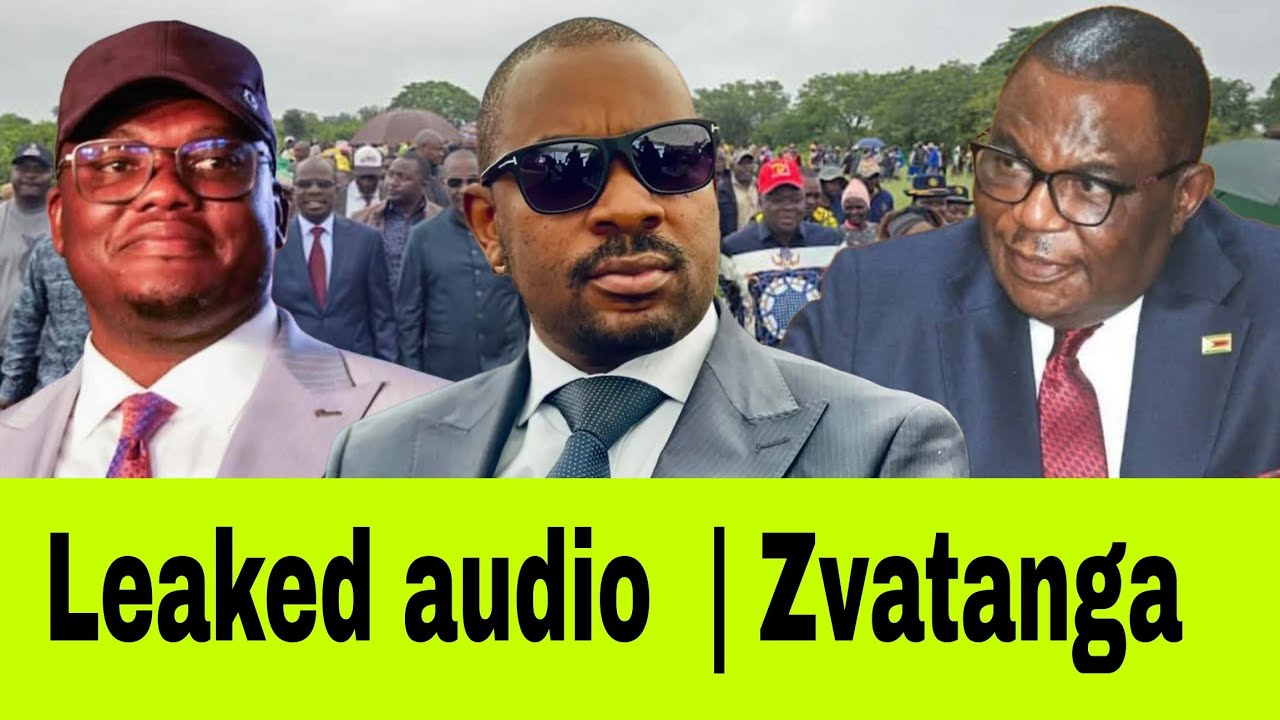 Leaked audio  | Tungwarara 20 years jail term | VP Chiwenga & Chamisa MuOffice 