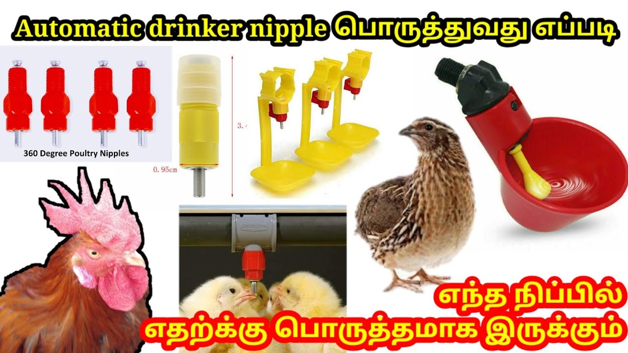 Automatic drinker nipple system for chicken & quail cage | காடை கூண்டில் nipple பொருத்துவது எப்படி