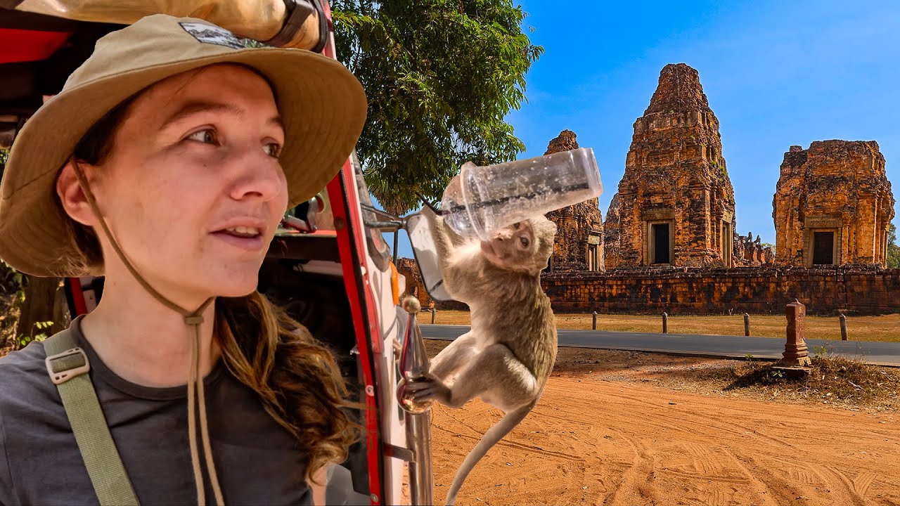 HIJACKED By Monkeys In Angkor Wat 🇰🇭 Tuk Tuk ANCIENT Cambodia