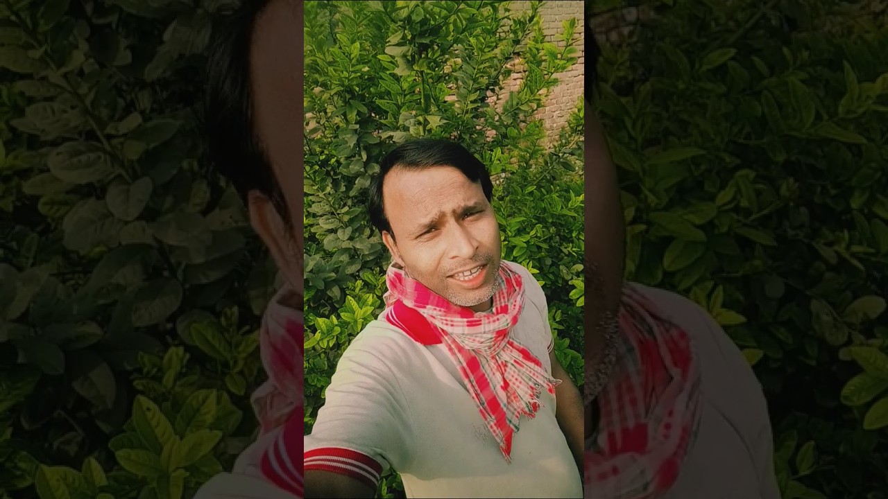 Made the crow's Diwali by getting it done separately #shortvideo haresh harjai 😭😭😭🙏🙏👍👍👍