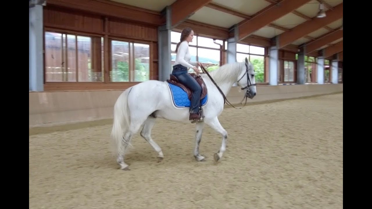 Passage * Cadenced steps * neckrope * loose rein * Kadenzierte Tritte * langer Zügel * Halsring