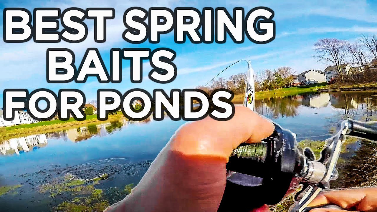 The BEST SPRING Baits for Pond Fishing!