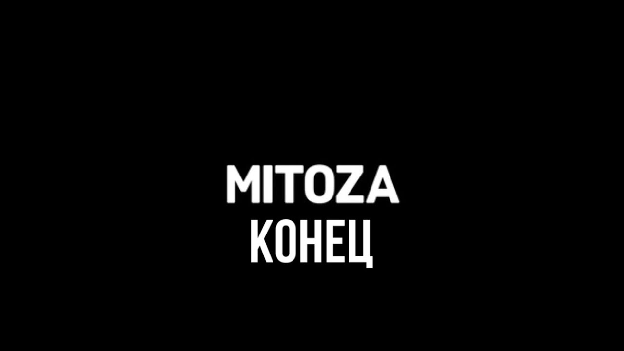 Mitoza - конец игры