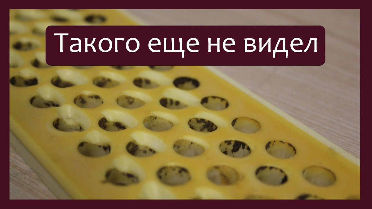 Трудовые будни / Ремонт Баяна 