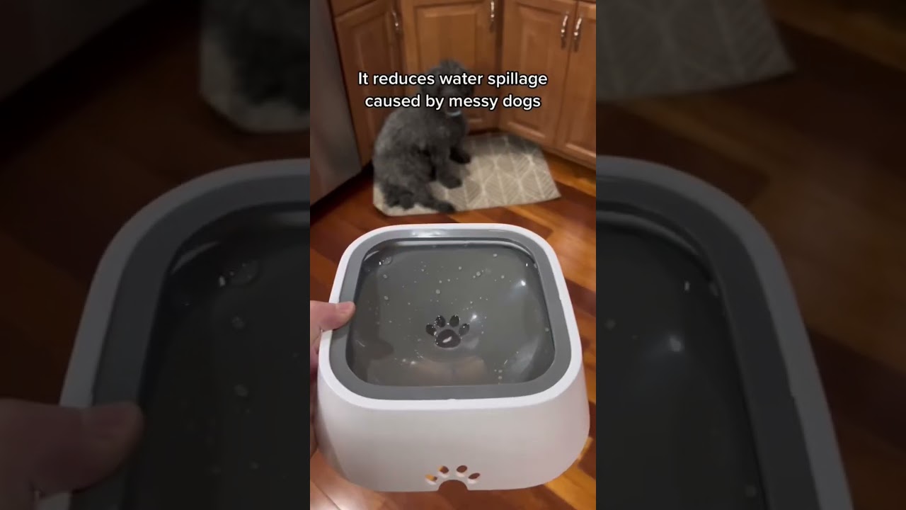 The perfect solution to avoid cleaning up water messes after your dog #doglover #dogproducts #dog