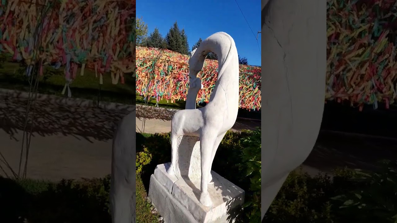Утренняя прогулка в санатории Шуйши.