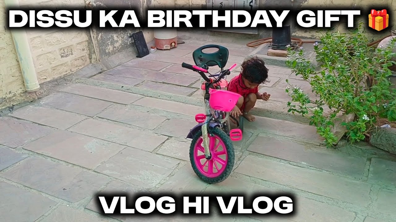 DISSU KA BIRTHDAY GIFT 🎁 VLOG #neemdokikar 