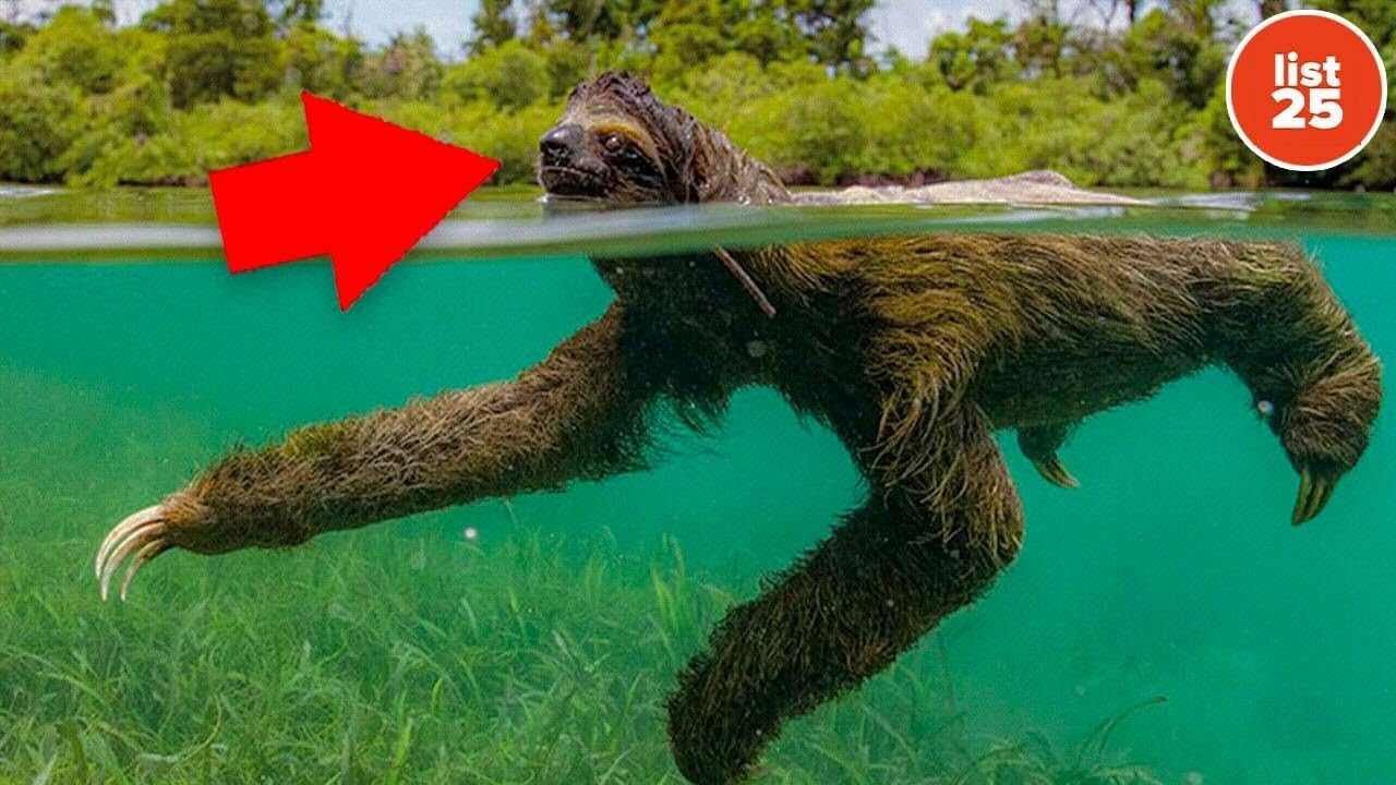 100 Unbelievable Facts That Will Shock and Amaze You