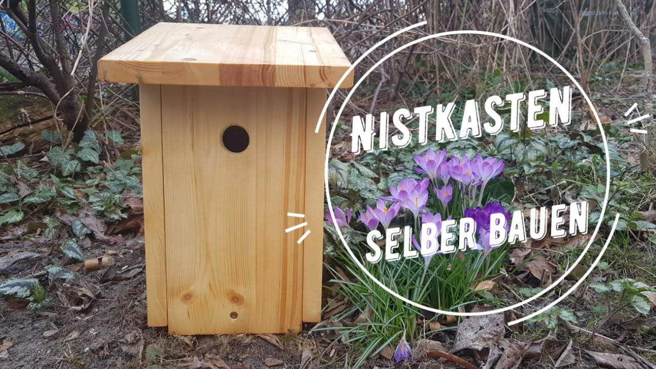 ☯️Nistkasten selber bauen! Für Blaumeisen & andere Meisenarten☯️