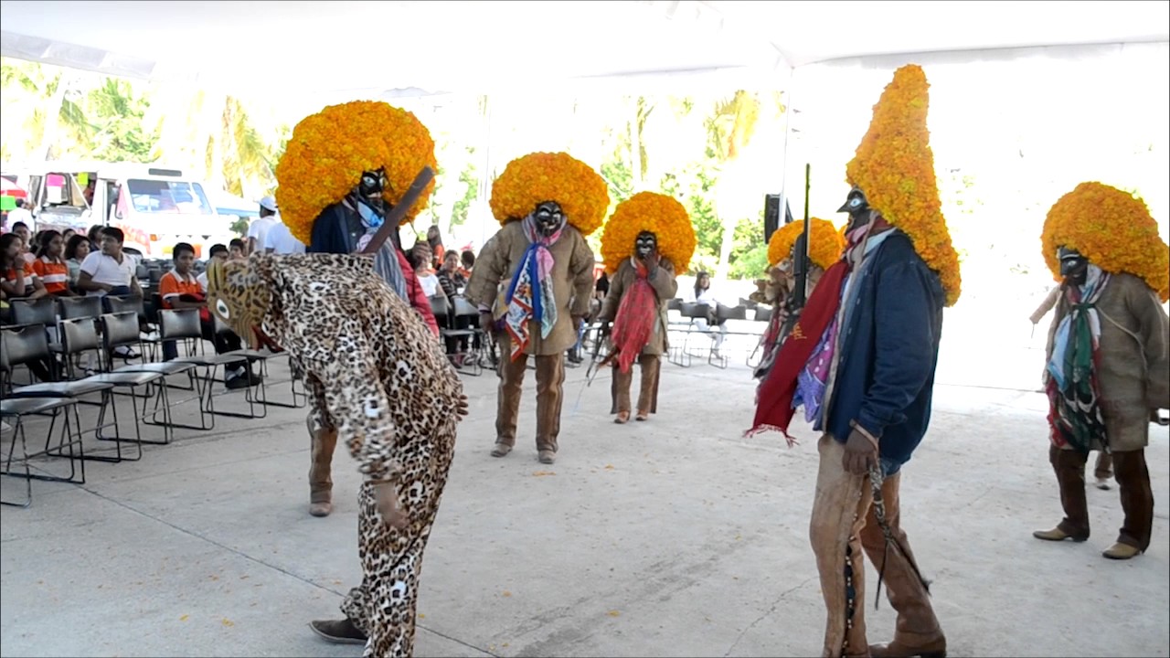 Reel Mente Libre Studio