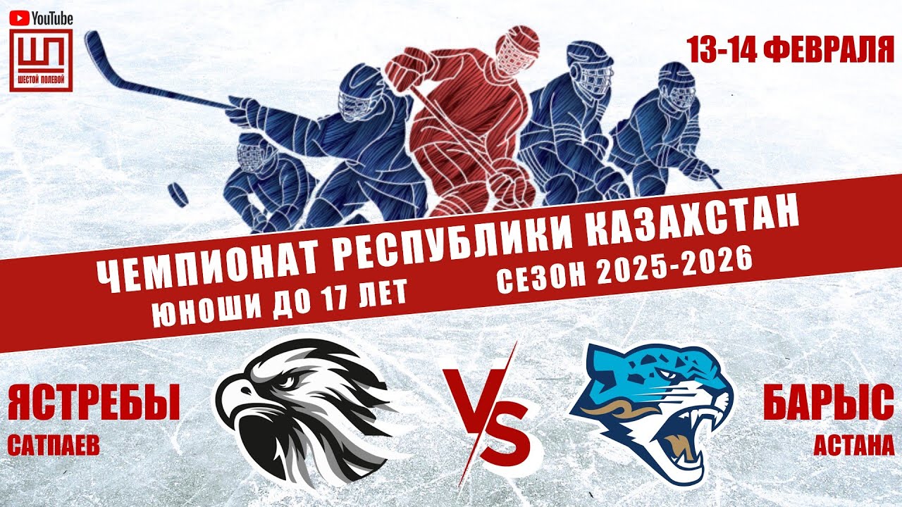 Ястребы - Барыс, ЧРК-2009, 14.02.2026