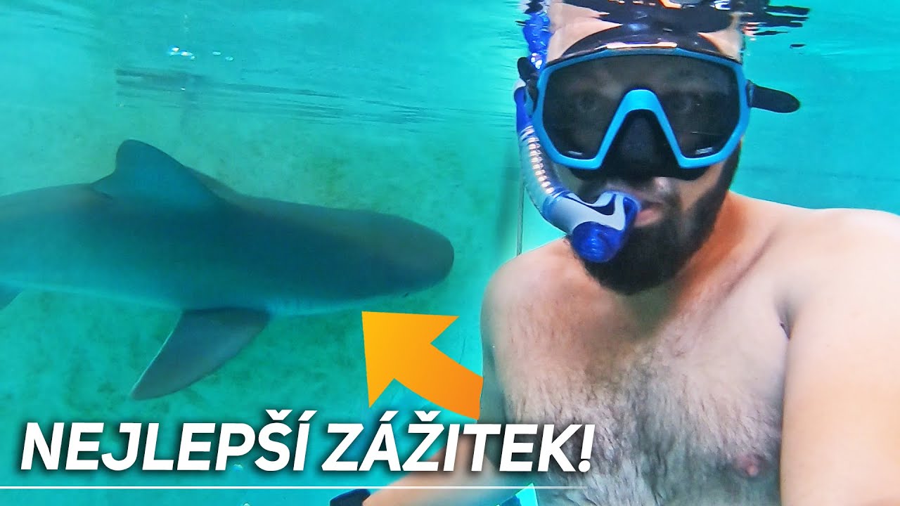 KOUPÁNÍ SE ŽRALOKY! 😰
