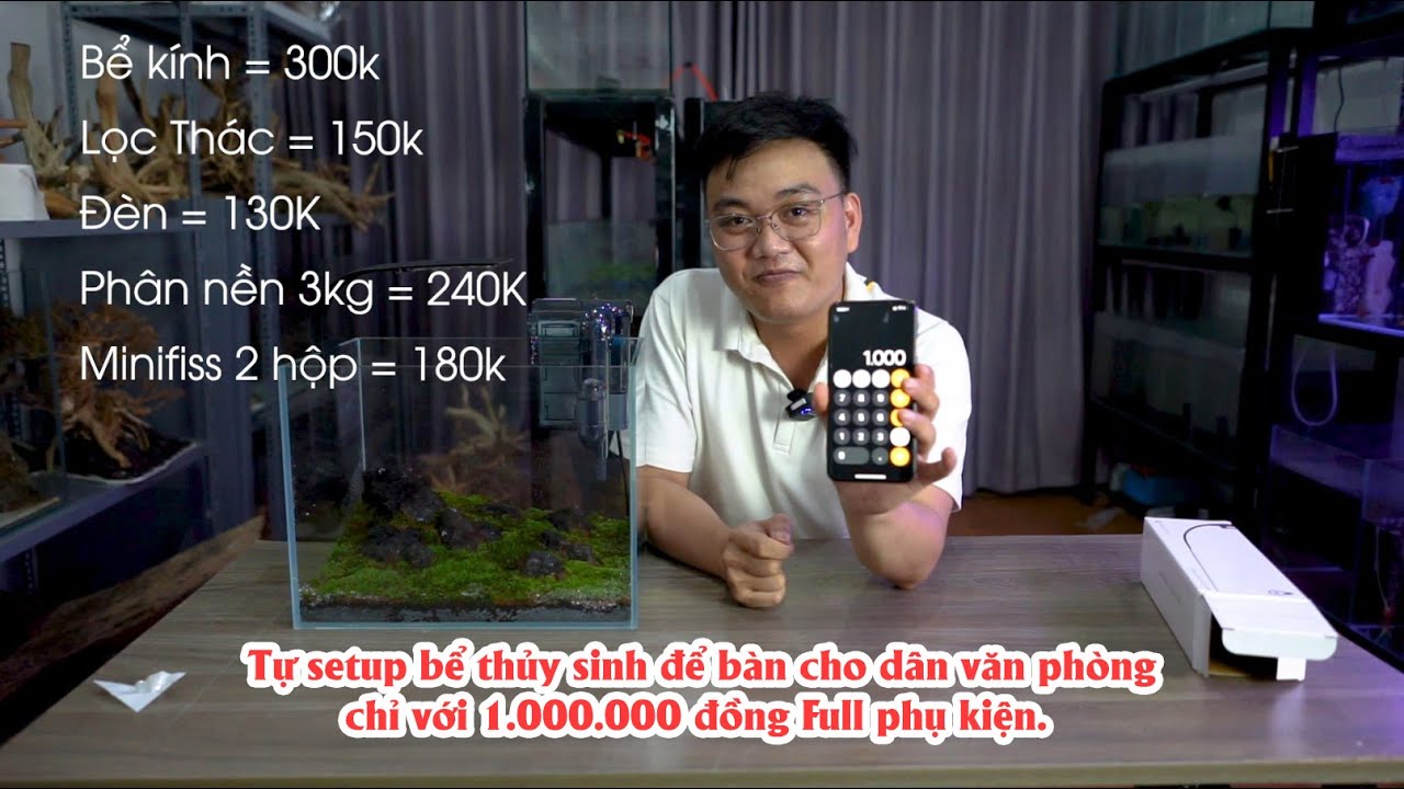 Tự Setup bể cá cảnh thủy sinh để bàn cho dân văn phòng chỉ với 1 triệu đồng - Thủy Sinh 4U