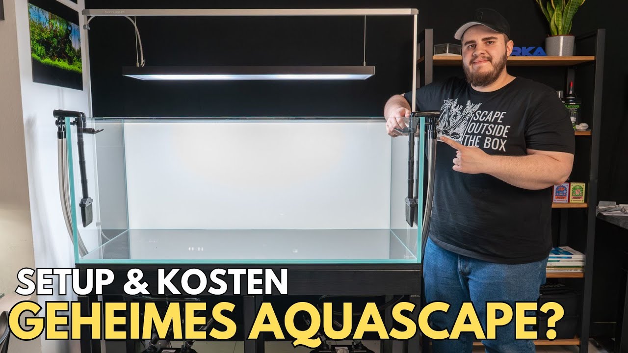 Mein neues geheimes Aquascape – Setup & was es gekostet hat?