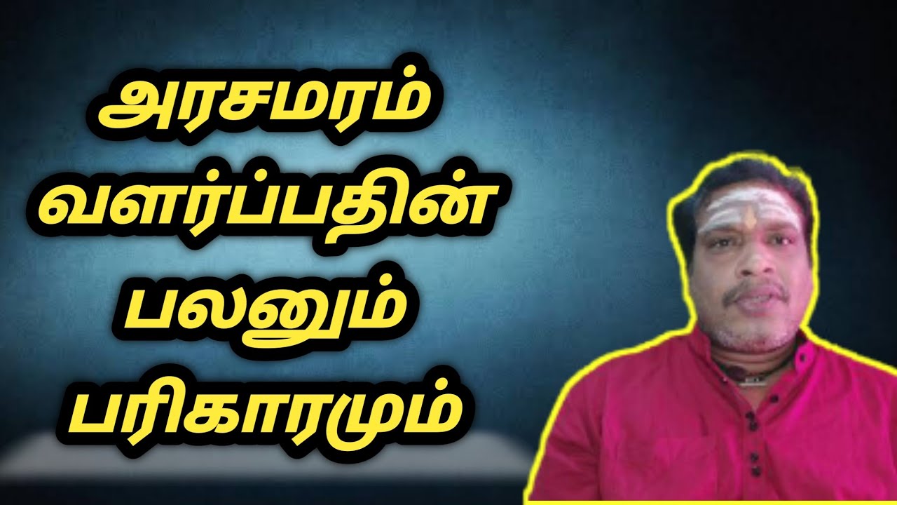 அரசுமரம் வளர்ப்பதின் பலனும் பரிகாரமும் | Arasamaram | vasthu tips tamil