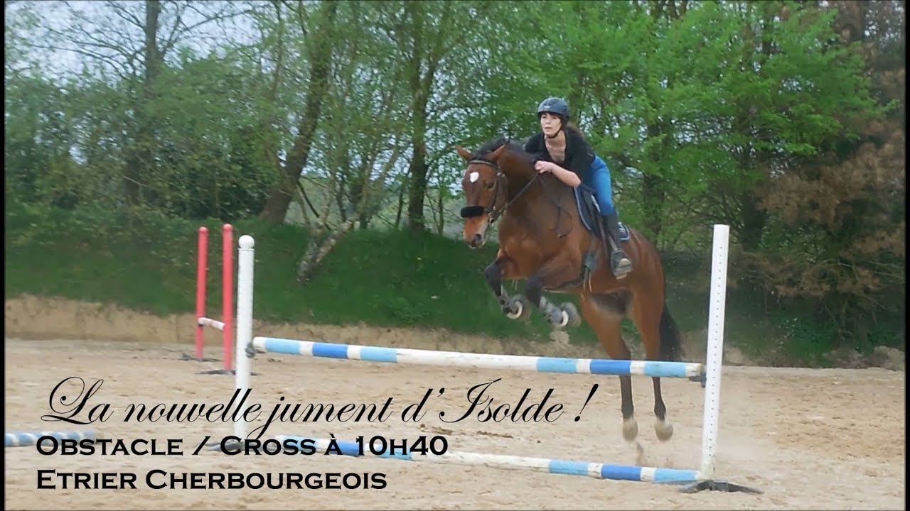 ISOLDE A ACHETE UNE JUMENT - Obstacle / Cross à 10h40 - Etrier Cherbourgeois