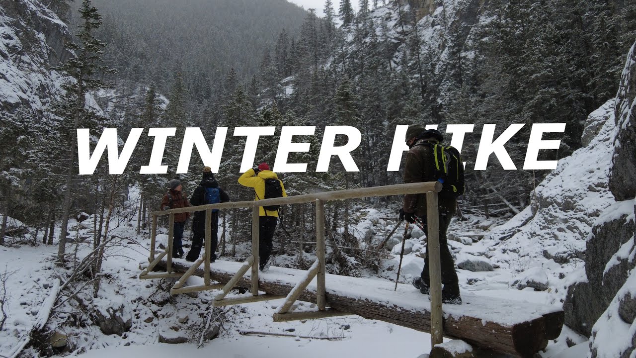 Chill winter hike to start off 2026!