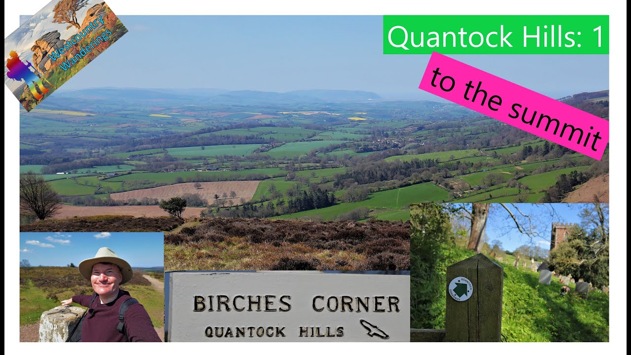 Quantock Hills: 1 - to the summit