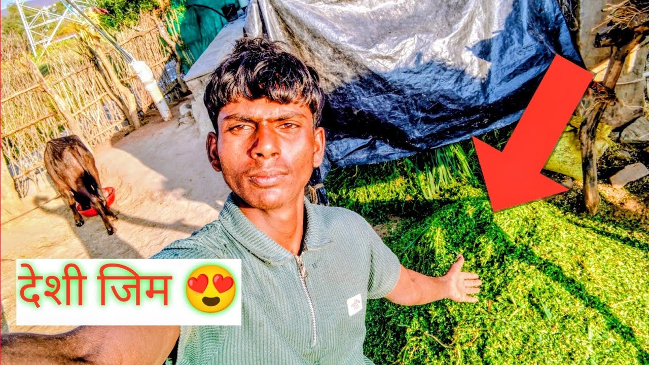 हरियाली ही हरियाली काटी मशीन से 😍