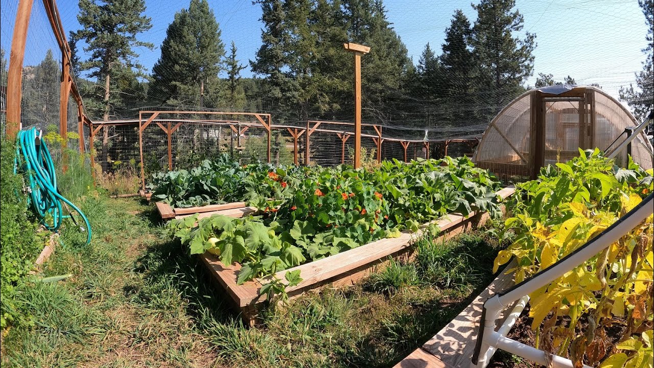 High Altitude Garden Tour - 2021