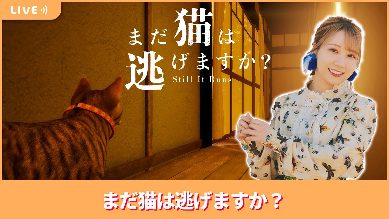 夏川椎菜のずっと『まだ猫は逃げますか？』してるだけ【2025.10.31】