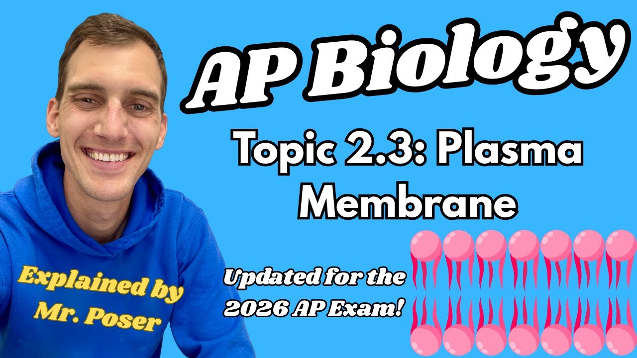 2.3 Plasma Membrane - AP Biology (Updated 2025-2026)