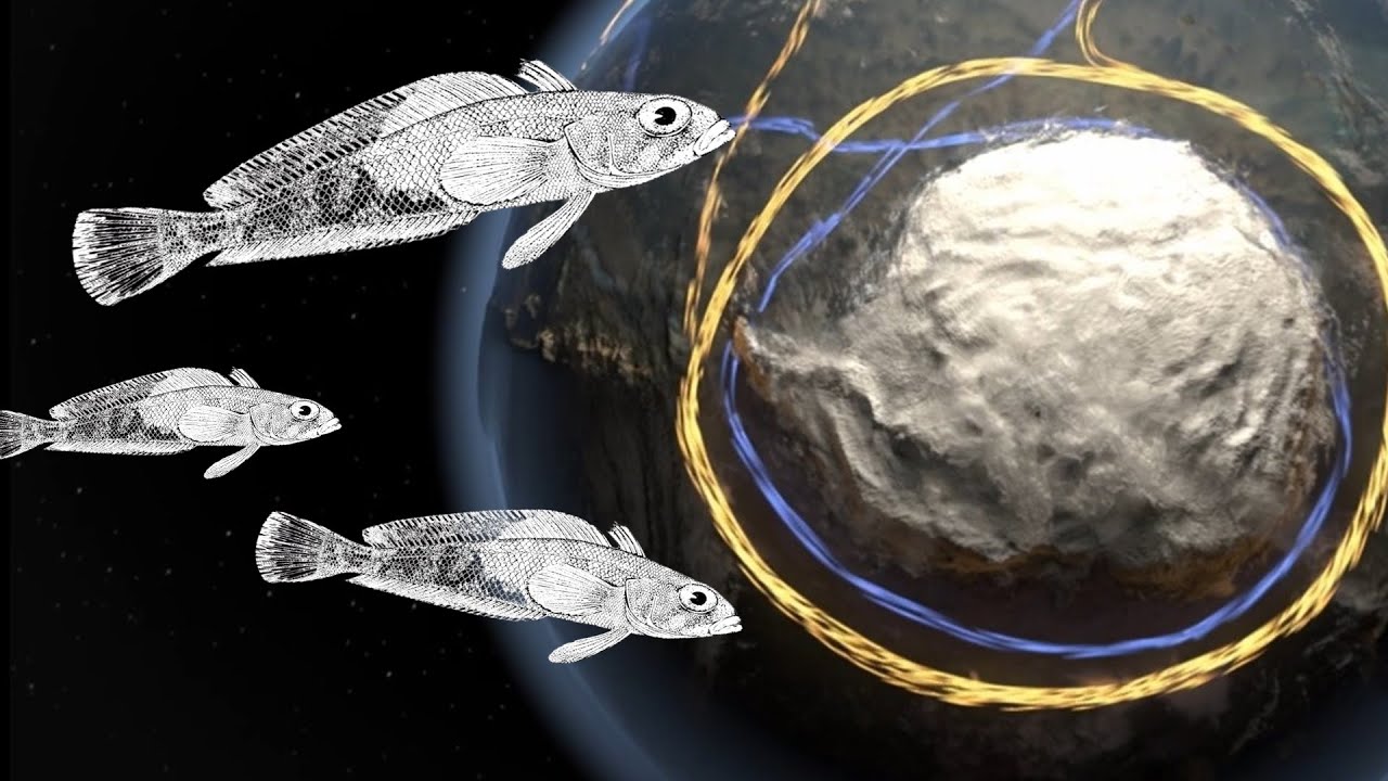 ЭПИЧЕСКАЯ ИСТОРИЯ АНТАРКТИЧНОГО КЛИКАЧА