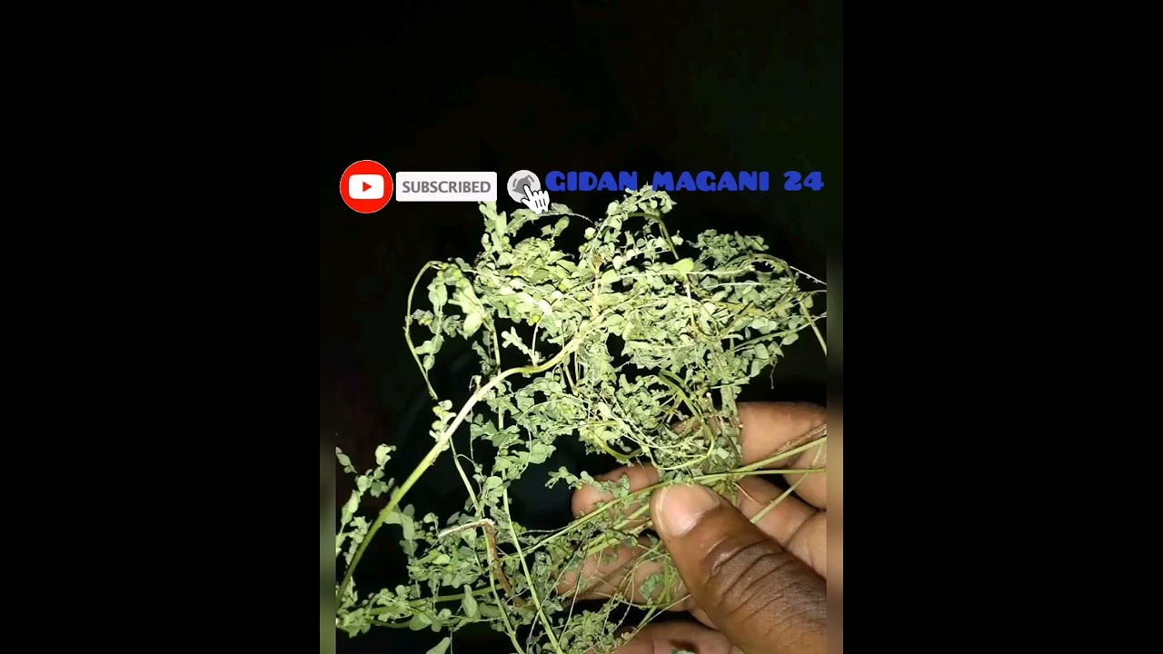 idan kayi wanan sirrin kwna uku zaka  samu abinda kake nima kowa zai iya yin wanan sirrin