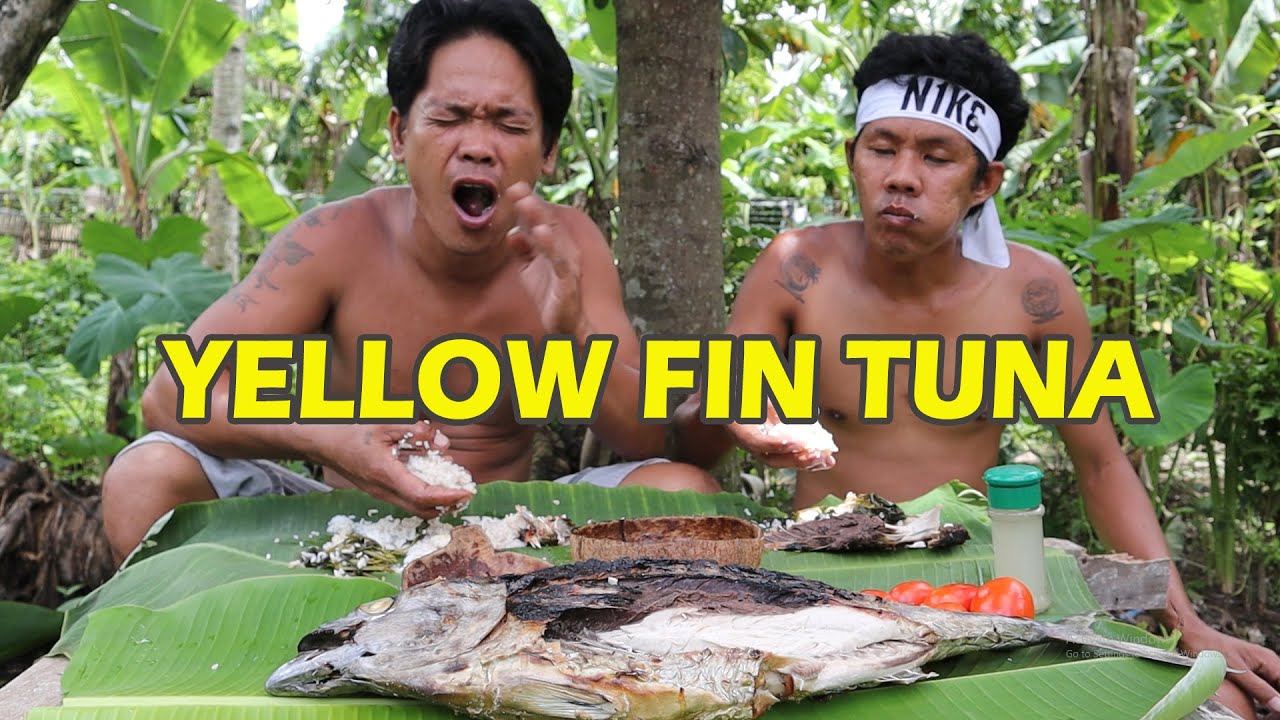 YELLOW FIN TUNA