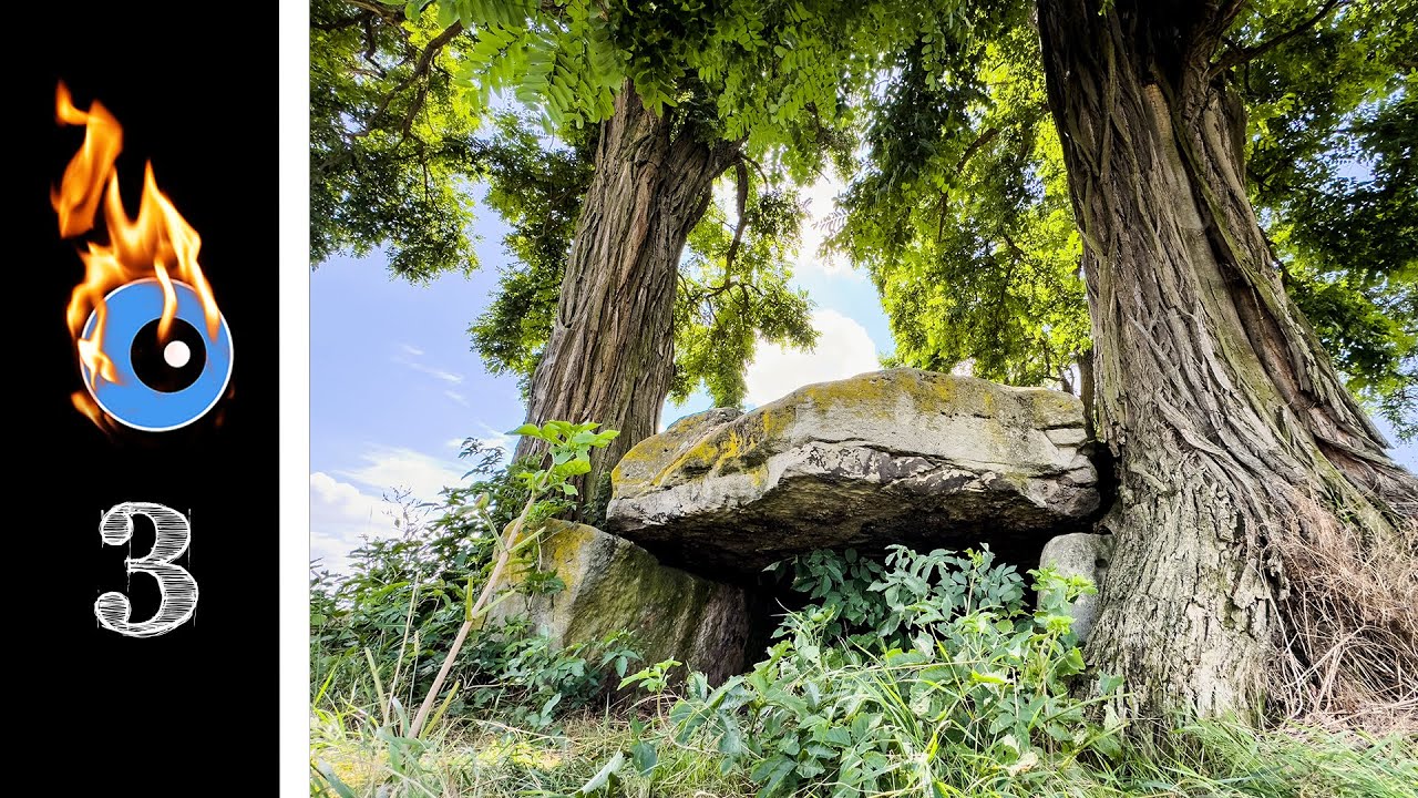 Megalith-Anlagen in Anhalt - Der Heringsberg bei Grimschleben