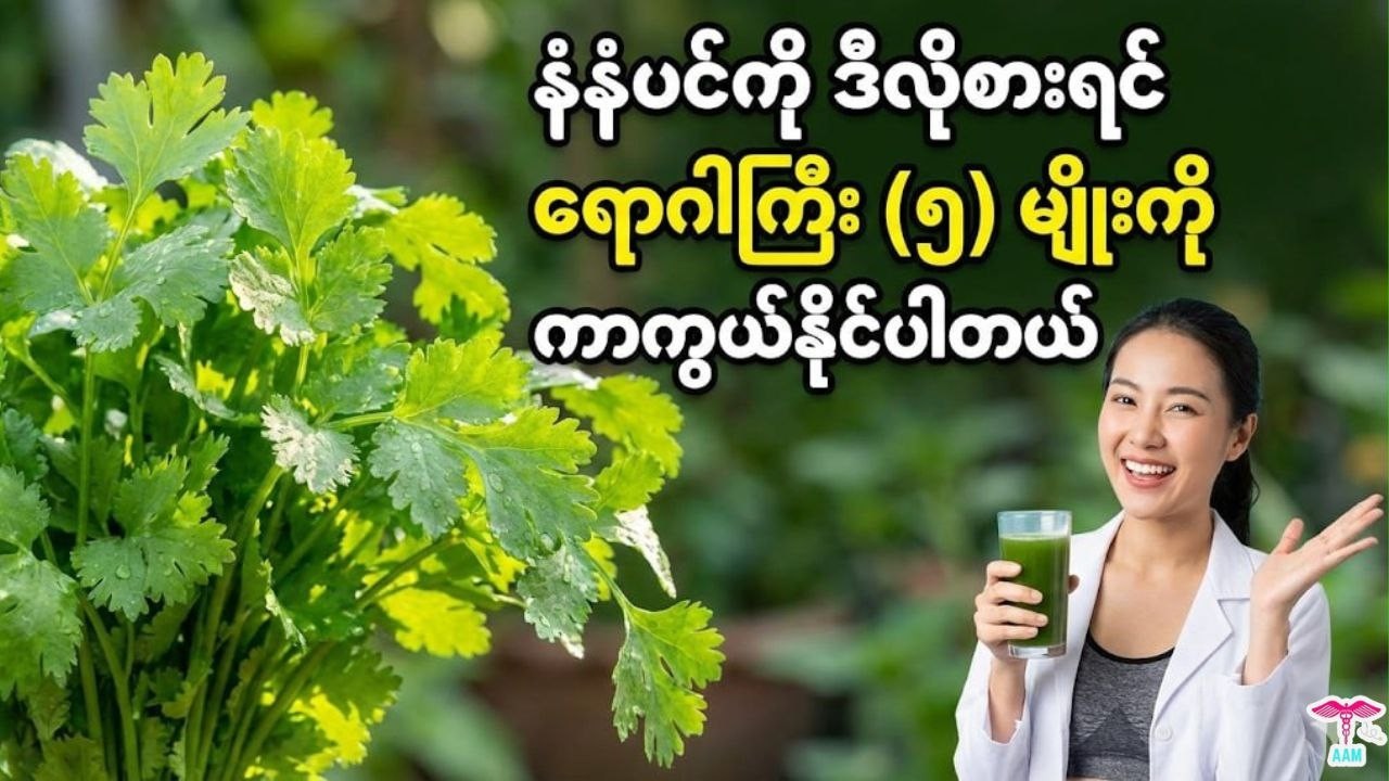 ဆရာဝန်တွေတောင် အံ့သြရတဲ့ နံနံပင်ရဲ့ ဆေးဖက်ဝင် လျှို့ဝှက်ချက်များ